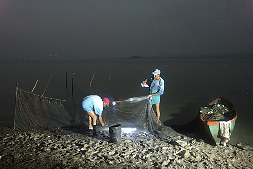 Recolectando la pesca