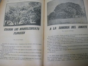 Lecturas nacionales de El Salvador de Saúl Flores.