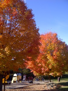 Postal de otoño en un suburbio de Washington