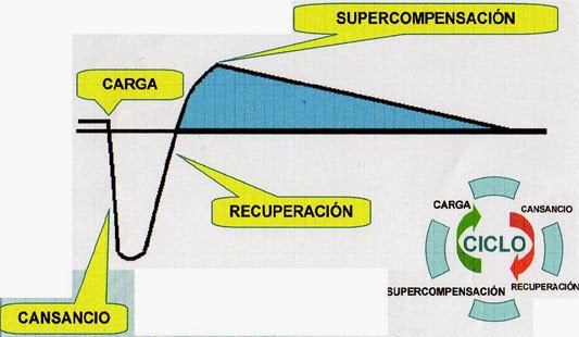 supercompensacion-3